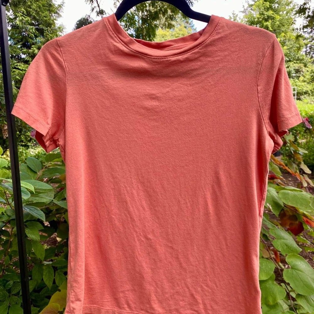 A New Day | Basic tee in coral shade